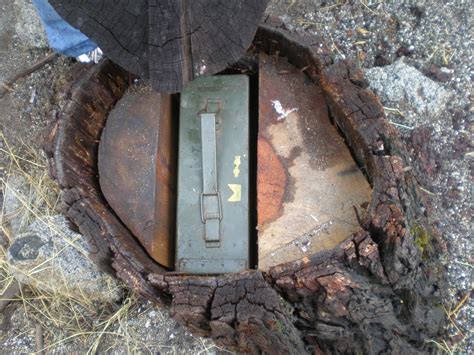 metal ammo box disguise as a tree stump|hidden tree stump ideas.